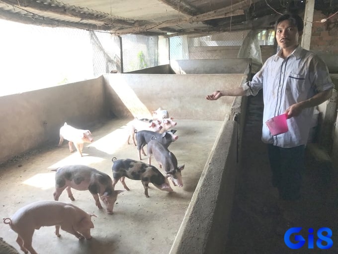 Mơ thấy chuồng lợn có thể là những ham muốn mà ta cố gắng kiềm chế!